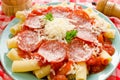 Rigatoni pasta Royalty Free Stock Photo