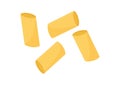 Rigatoni pasta vector icon, italian macaroni, penne set. Food illustration