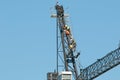 Riggers assebling Tower Crane on the new Multistory Unit building under construction at Mann St. Gosford. May 11, 2019