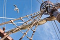 Rigging and mast of an old-fashioned sailing boat with a seagull flying against a blue sky Royalty Free Stock Photo