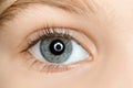 Right blue eye of child with long eyelashes Royalty Free Stock Photo