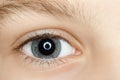 Right blue eye of child with long eyelashes Royalty Free Stock Photo