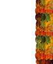 The right border frame of autumn leaves. A rainbow gradient of yellow orange brown green lies on each other in rows and columns.