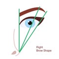 Right brow shape