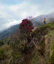 Spring on the valley