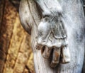 Right hand close up of Michelangelo's David in Piazza della Sign