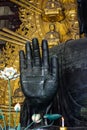 Great Buddha Daibutsu in Todaiji Pagoda Royalty Free Stock Photo