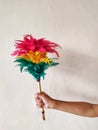 right hand holding feathered stick on white background