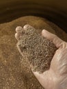 Right hand holding recycled copper granules recovered from scrap cable Royalty Free Stock Photo