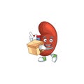 Right human kidney cartoon design style having gift box