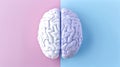 Right and left hemisphere of the human brain creative concept Royalty Free Stock Photo