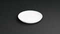 Right Side View Medium 3D Illustration White Marble Plate on a Black Background Isolated