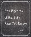Right to learn Ovid quote Royalty Free Stock Photo