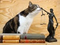 The rights of animals. A cat and a Justitia figure with books on a wooden background