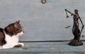 A cat and a Justitia figure on a wooden background