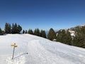 Rigi Staffel Skiing Area or Skifahren Rigi Staffel near Lake Lucerne VierwaldstÃÂ¤ttersee and Lake Zug Zugersee Royalty Free Stock Photo