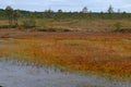 Riisa path on Sooma swamp