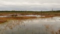 Riisa path on Sooma swamp