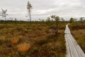 Riisa path on Sooma swamp