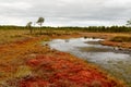 Riisa path on Sooma swamp