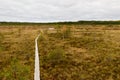 Riisa path on Sooma swamp