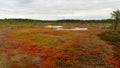 Riisa path on Sooma swamp