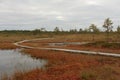 Riisa path on Sooma swamp