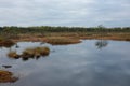 Riisa path on Sooma swamp