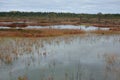 Riisa path on Sooma swamp