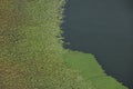 Rijeka CrnojeviÃâ¡a, part of the Skadar Lake in Montenegro. Tourist cruises by boat on the beautiful meanders of the river flowing