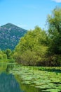 Rijeka Crnojevica, Skadar Lake