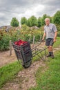 Transporting flowers for the flower parade