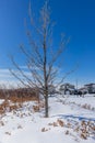 Rik Sterrnberg Park in Saskatoon, Canada