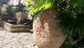 Rikishi (force stone) Strength contest Botan Sumiyoshi Shrine, a shrine in Botan, Koto-ku, Tokyo, Japan?