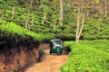 Rikshaw in Tea field plantations, Sri Lanka Royalty Free Stock Photo