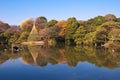 Rikugien garden, Tokyo, Japan Royalty Free Stock Photo