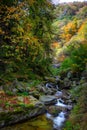 An Autumn Stream in Rila Mountain, Bulgaria Royalty Free Stock Photo