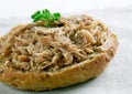 Rillettes Royalty Free Stock Photo