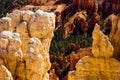 Bryce Canyon Hoodoo Scenic Peaceful Landscape National Park Royalty Free Stock Photo