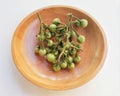 Rimbang or takokak fruit in a bowl on a white background.