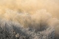Winter`s Tale in northeast  China Royalty Free Stock Photo
