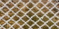 Detail of frozen fence. Mesh covered with frost. Royalty Free Stock Photo