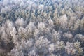 Rime and hoarfrost covering trees. Aerial view of the snow-covered forest and lake from above. Winter scenery. Landscape photo Royalty Free Stock Photo
