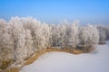 Rime and hoarfrost covering trees. Aerial view of the snow-covered forest and lake from above. Winter scenery. Landscape photo Royalty Free Stock Photo