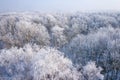 Rime and hoarfrost covering trees. Aerial view of the snow-covered forest and lake from above. Winter scenery. Landscape photo Royalty Free Stock Photo