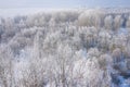 Rime and hoarfrost covering trees. Aerial view of the snow-covered forest and lake from above. Winter scenery. Landscape photo Royalty Free Stock Photo