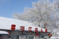 The rime island is very beautiful in the Northeast Chinese Royalty Free Stock Photo