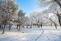 The rime and sbow and track scenic Royalty Free Stock Photo