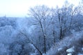 Rime on trees on both side of river Royalty Free Stock Photo