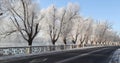 the trees with beautiful rime by the road in jilin, China